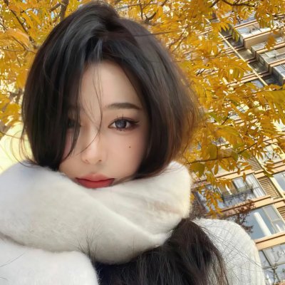 亚西西的圣方济各