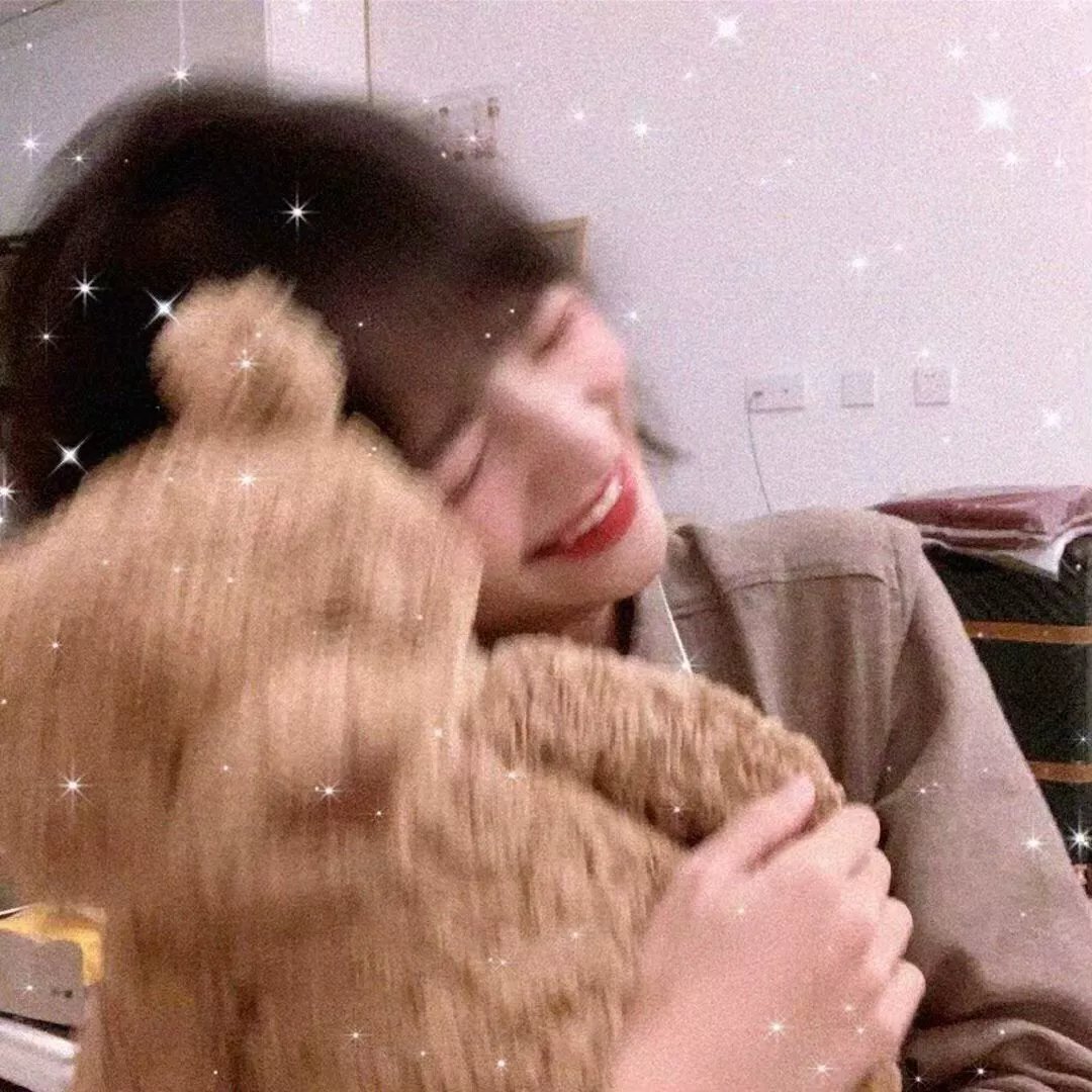 钢之炼金术师2026